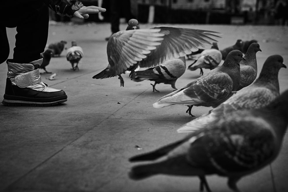 Photograph by Владислав Данилов