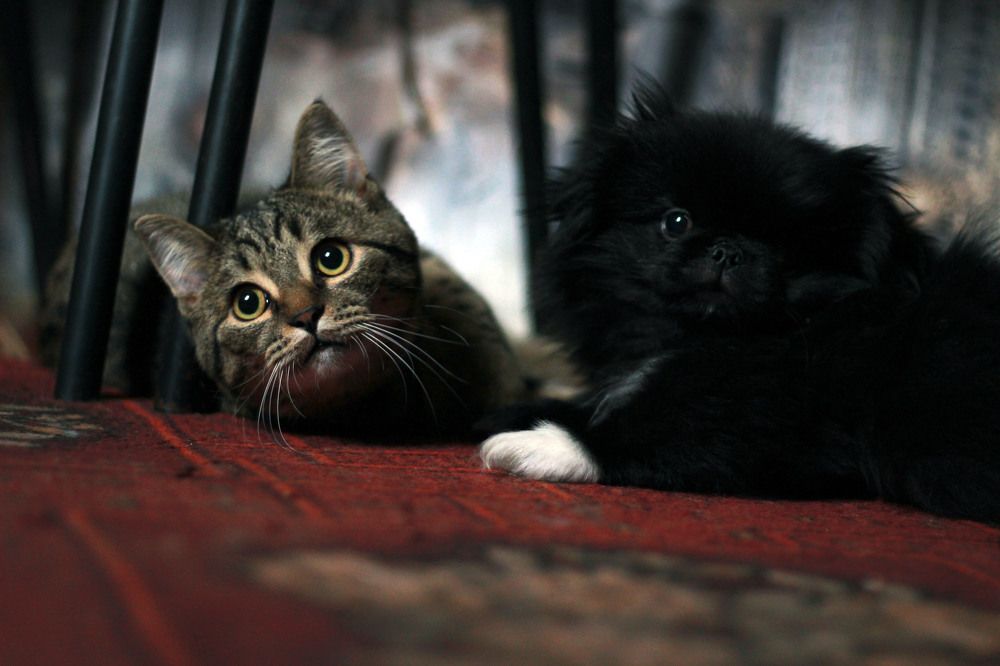 Photograph by Ксения Любченко