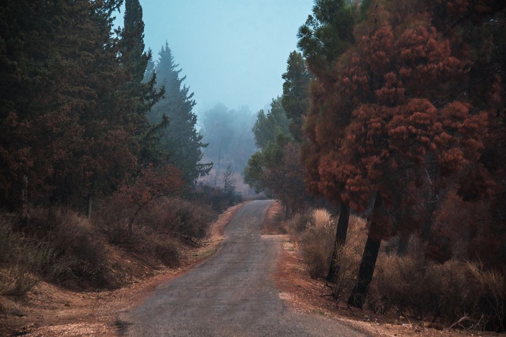 Photograph by Алекс Гейнер