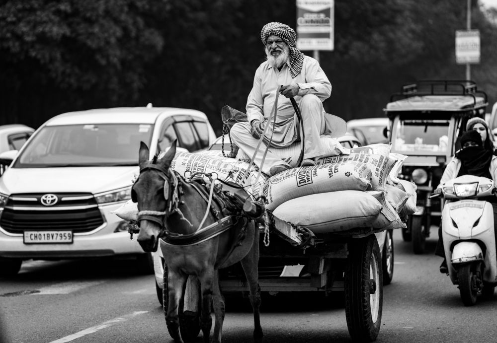 Фотография автора MITHUN KUMAR