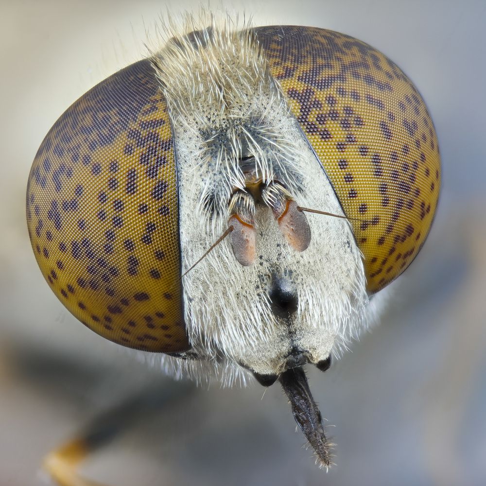 Photograph by Юрий Юрьевич