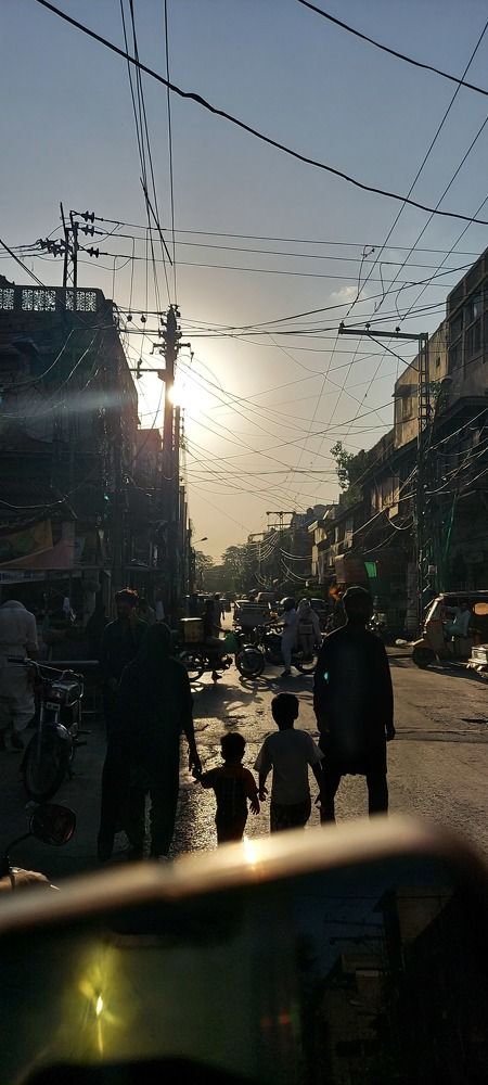 Photo #8777882