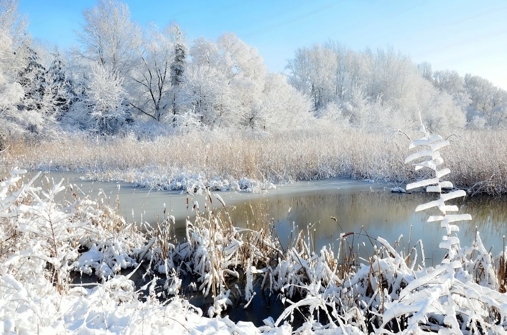 Photograph by Владимир Тертышник