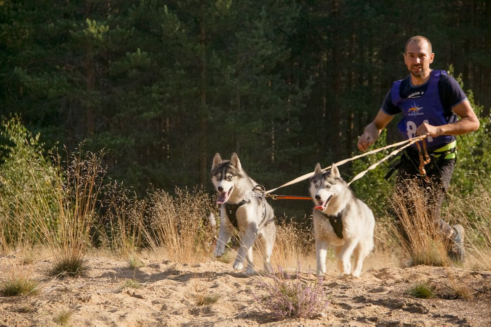 Photograph by Ольга