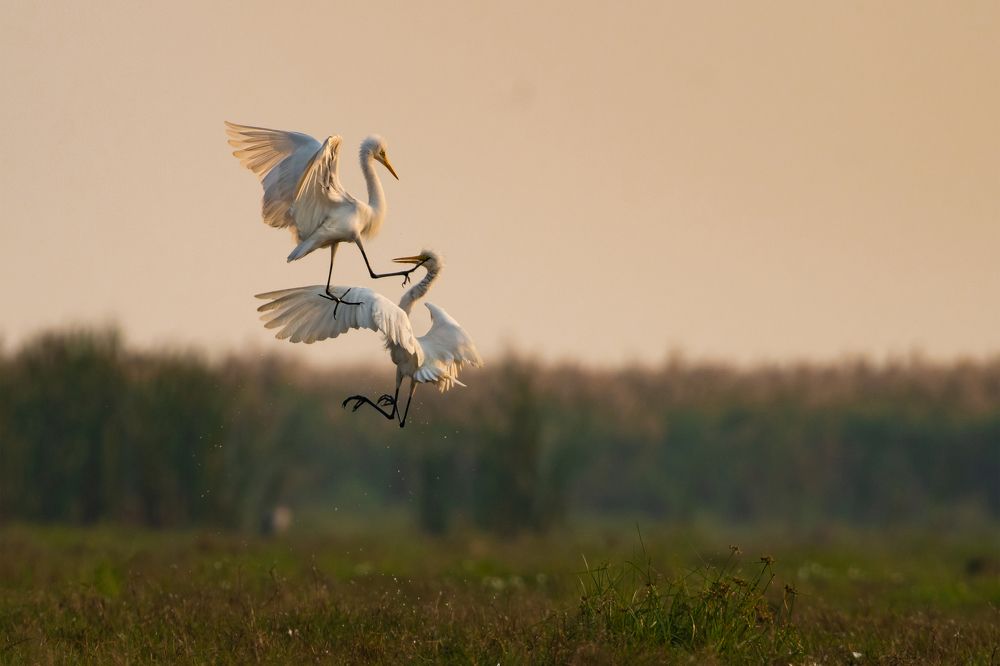 Photograph by Arpan Hanra