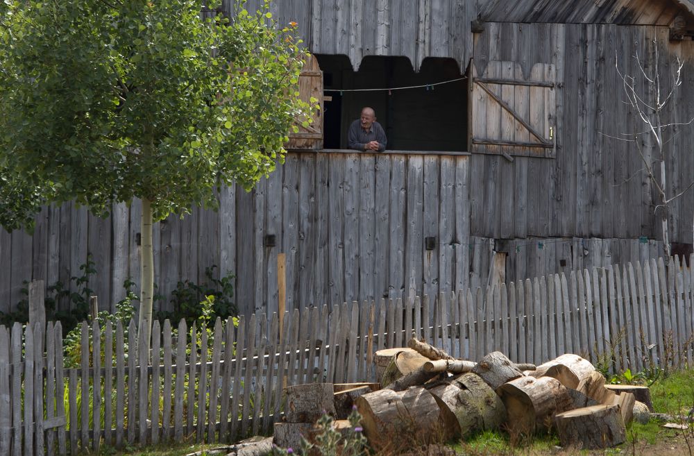 Фотография автора Vakhtangi Janjgava