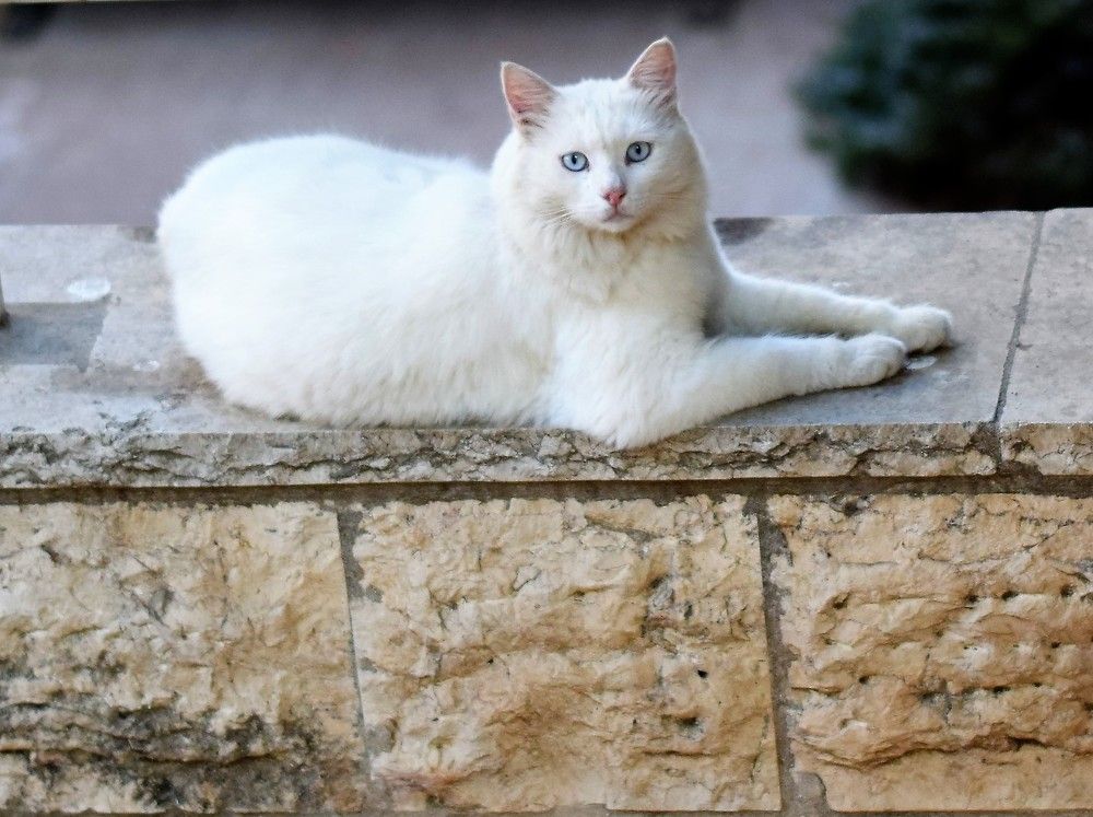 Photograph by Marina Eremin