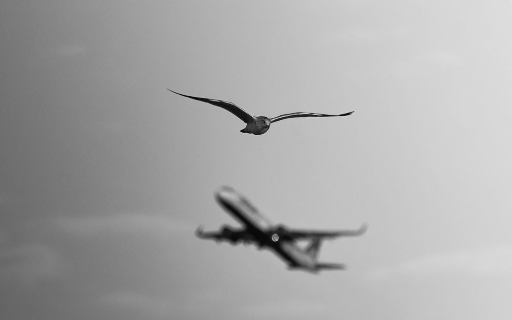 Photograph by Николай Мироненко