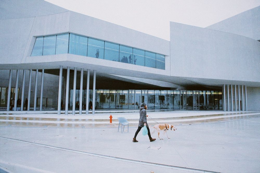 Photograph by Станислав Ситников