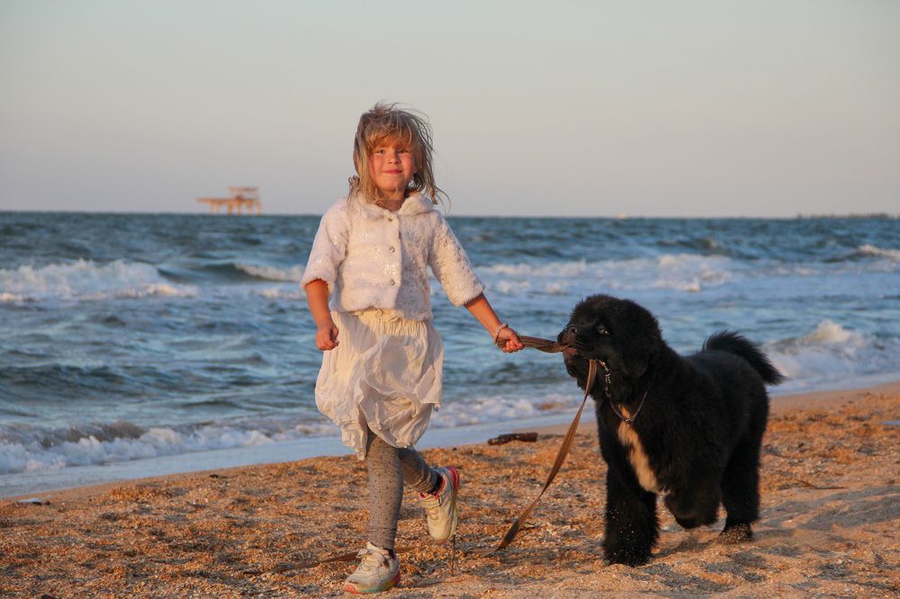 Девочка и щенок