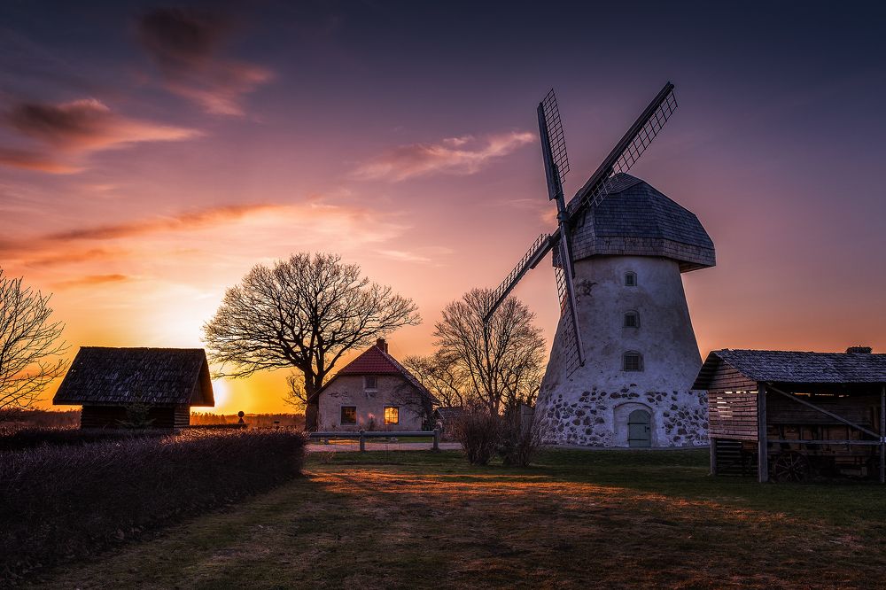 Photograph by Dace Spalviņa