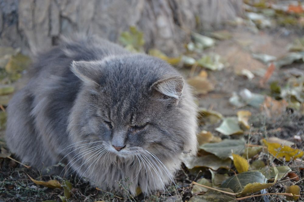 Photograph by Svetlana Nemontova