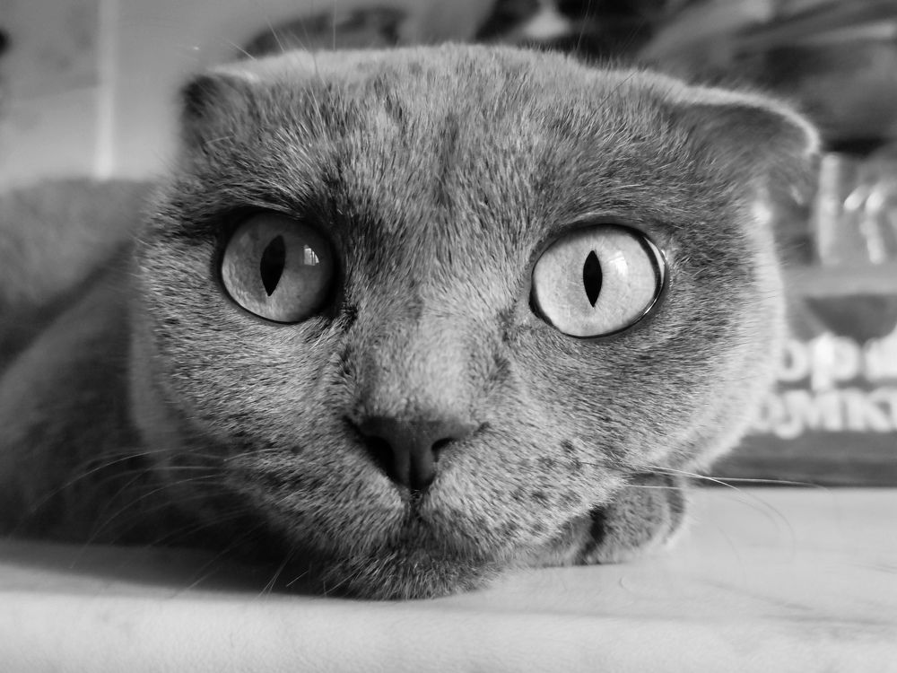 Спокойствие