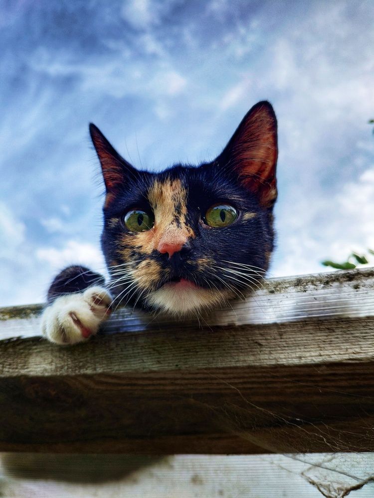 Photograph by Лев Кауфман