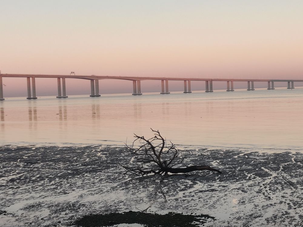 Photo #8778373