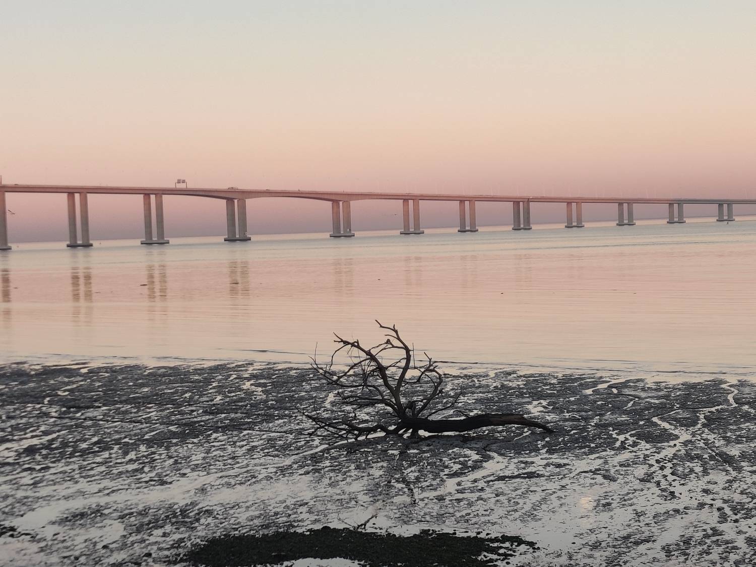 Photo #8778373