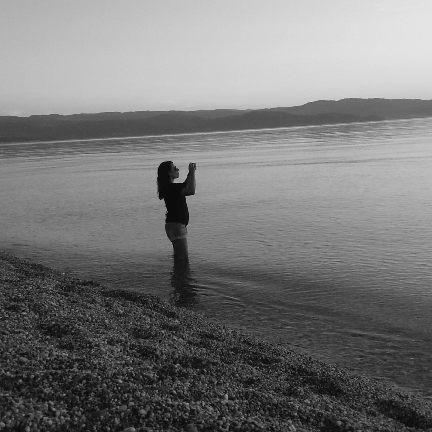 Photo #8778407