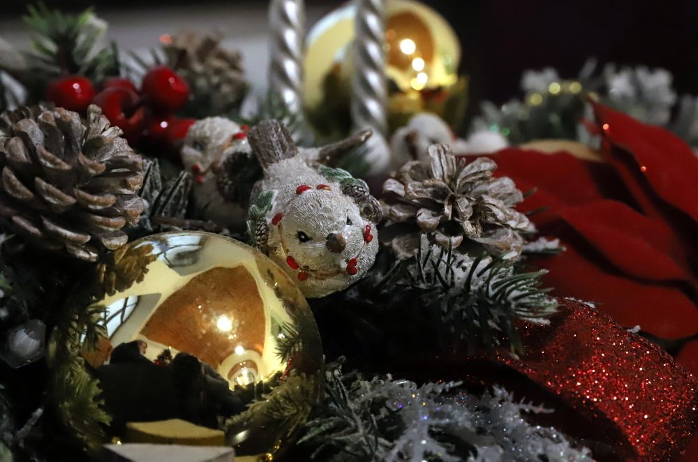 Photograph by елена