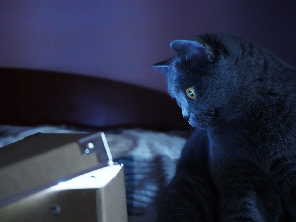 Photograph by Светлана Смирнова