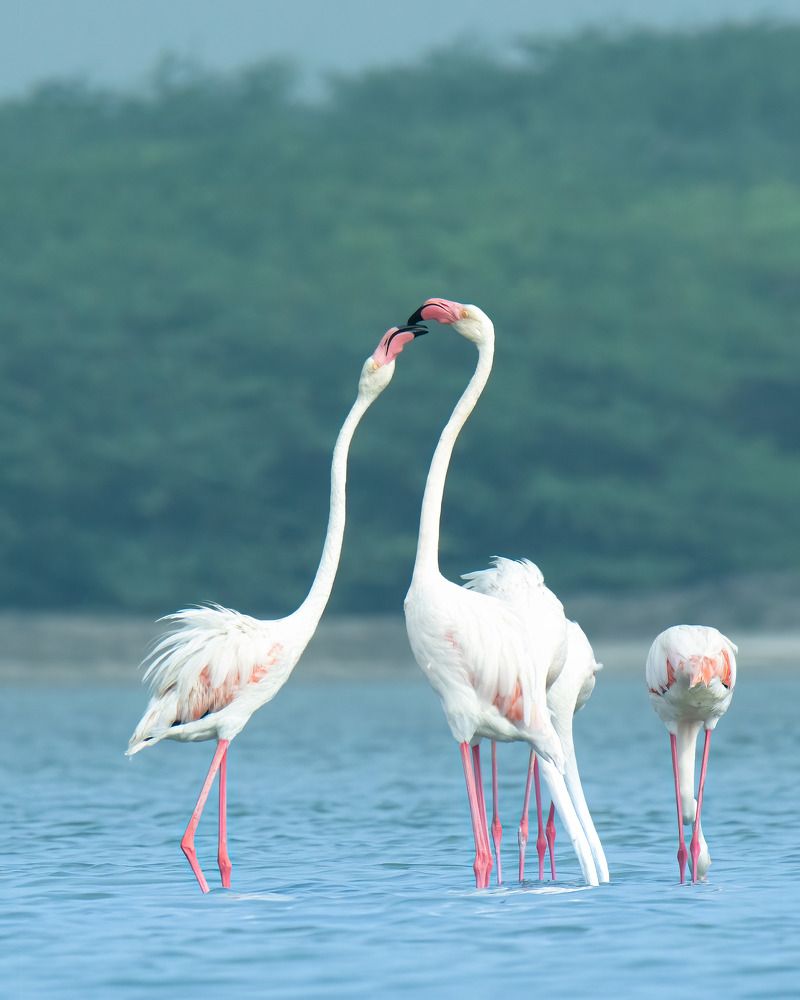 Photograph by Mohamed Raseem