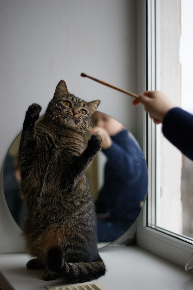 Photograph by Людмила Щепилова