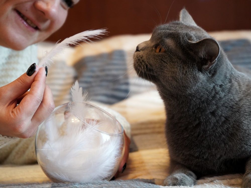 Photograph by Светлана Смирнова