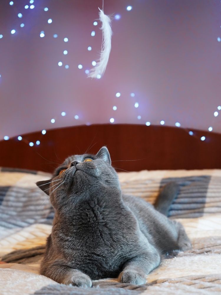 Photograph by Светлана Смирнова