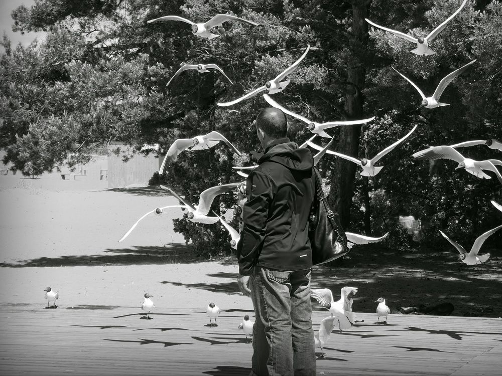 Фотография автора Анатолий Дауров