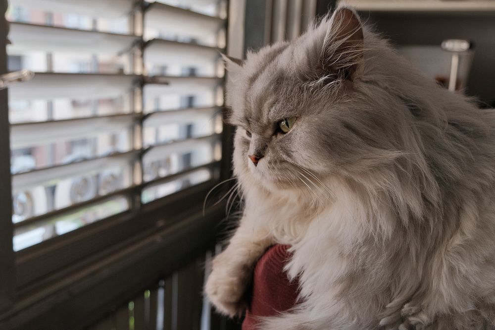 Photograph by Алёна Думнова