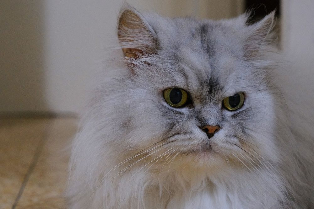 Photograph by Алёна Думнова