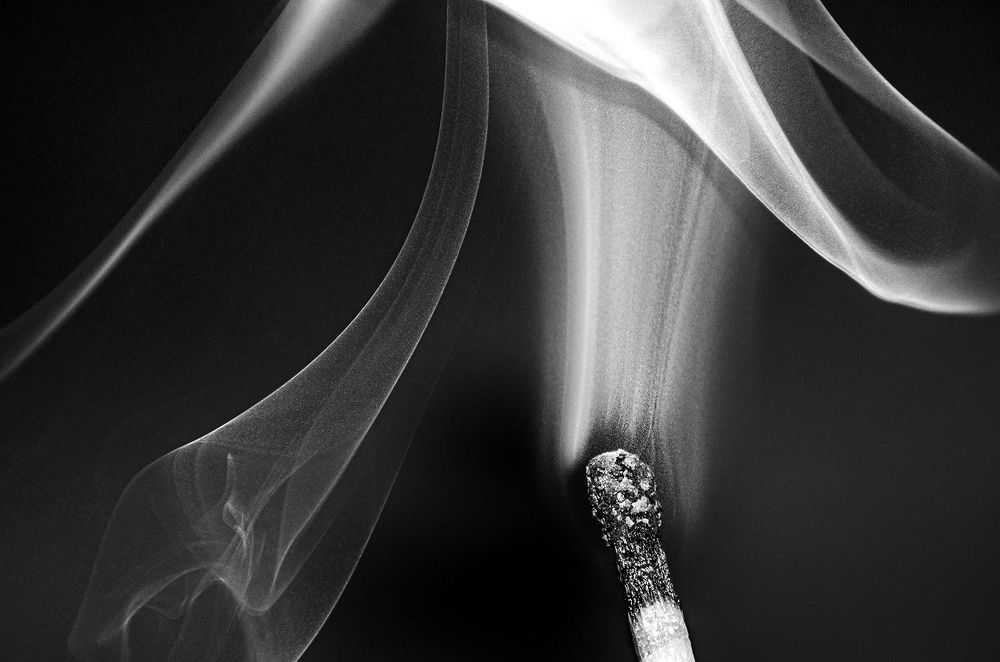 Photograph by Sahar Jafari