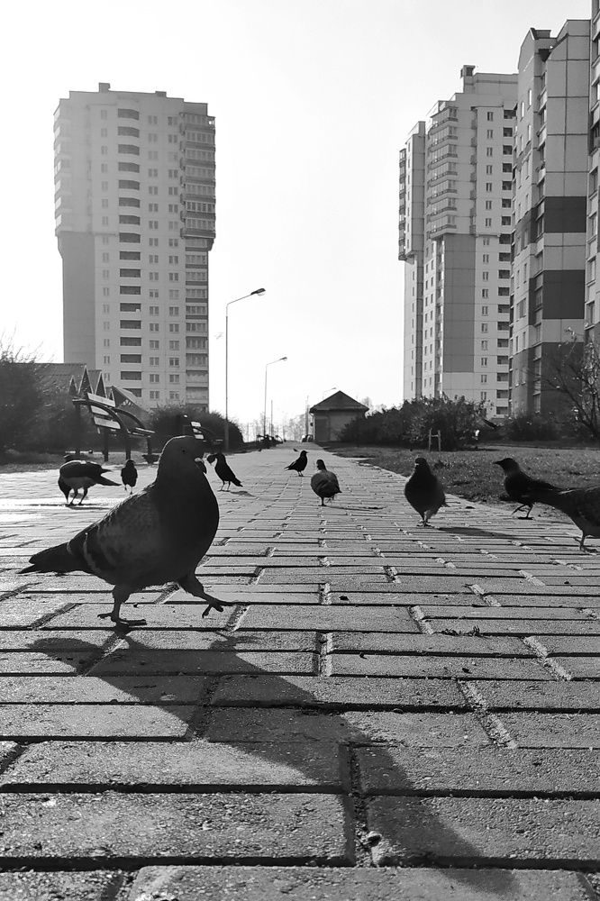 Photograph by Юлия Кулиева