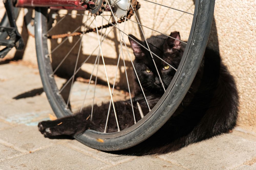 Photograph by Алёна Думнова