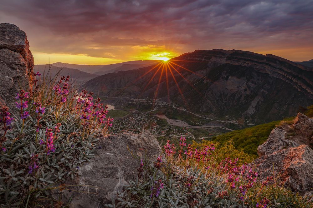 Photograph by Андрей Лысиков