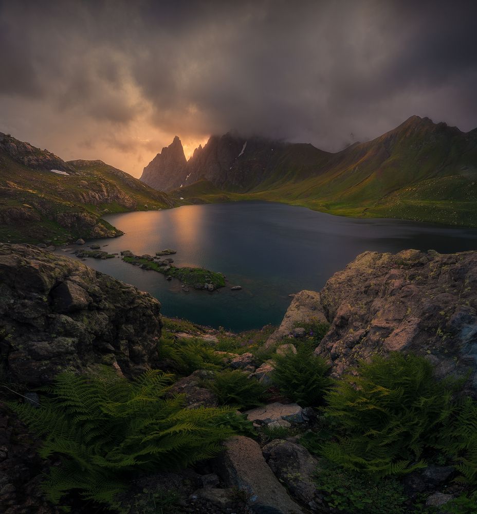 Логово дракона