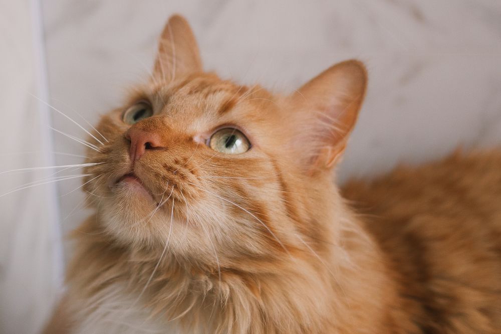 Photograph by Ольга