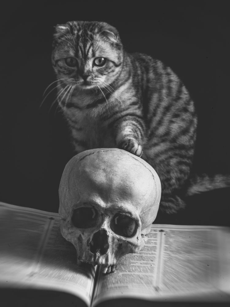 Photograph by Роман Однорал