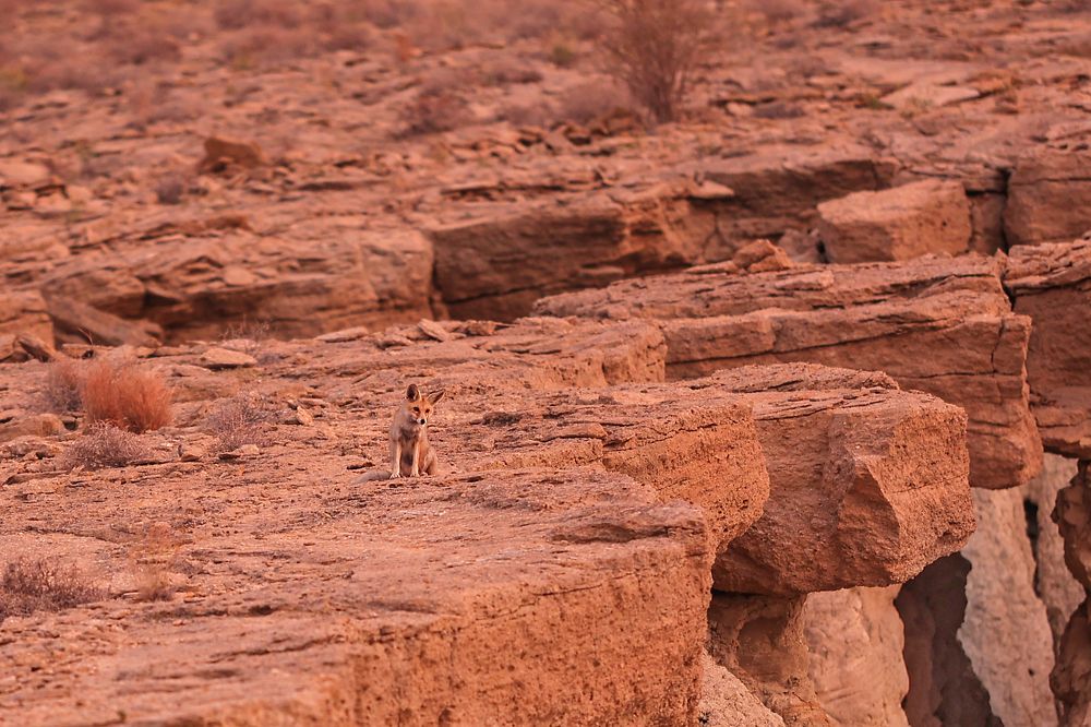 Photograph by Андрей Лысиков