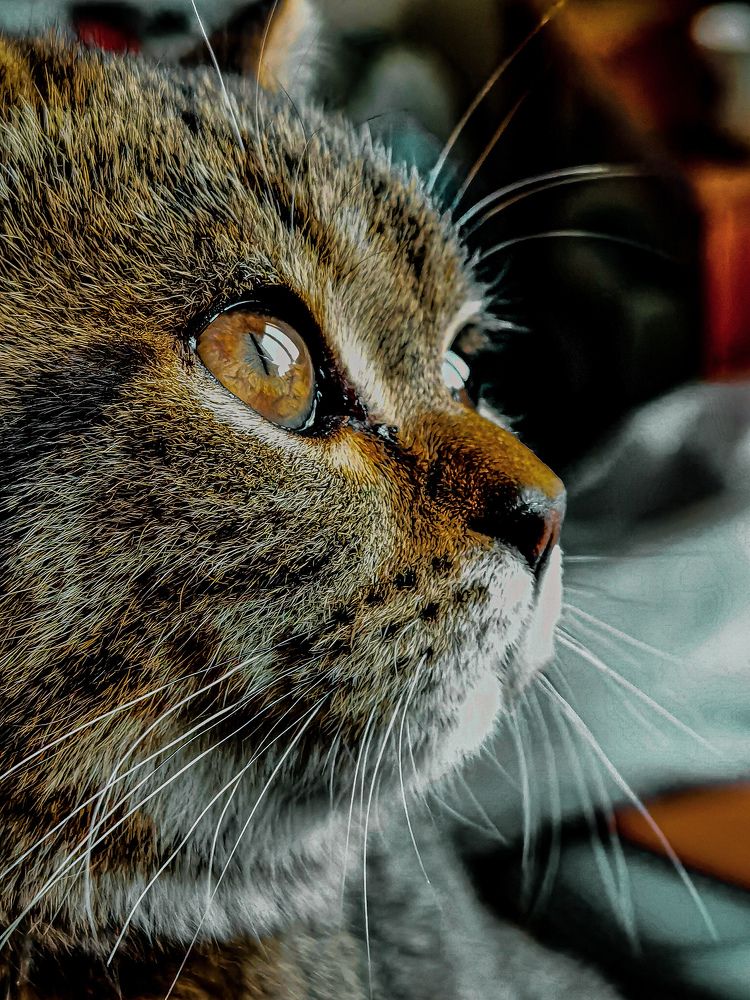 Photograph by Влад Апанасов