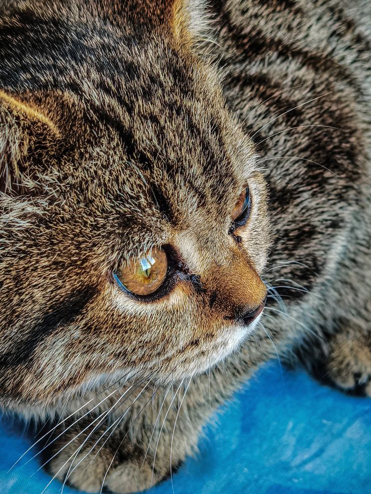 Photograph by Влад Апанасов