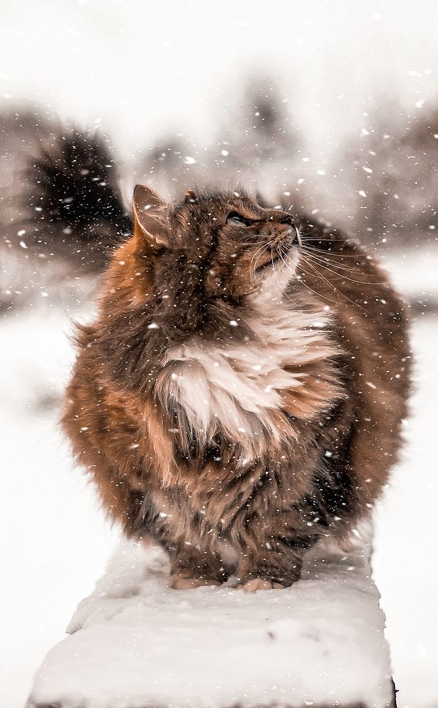 Фотография автора Ольга Ткаченко
