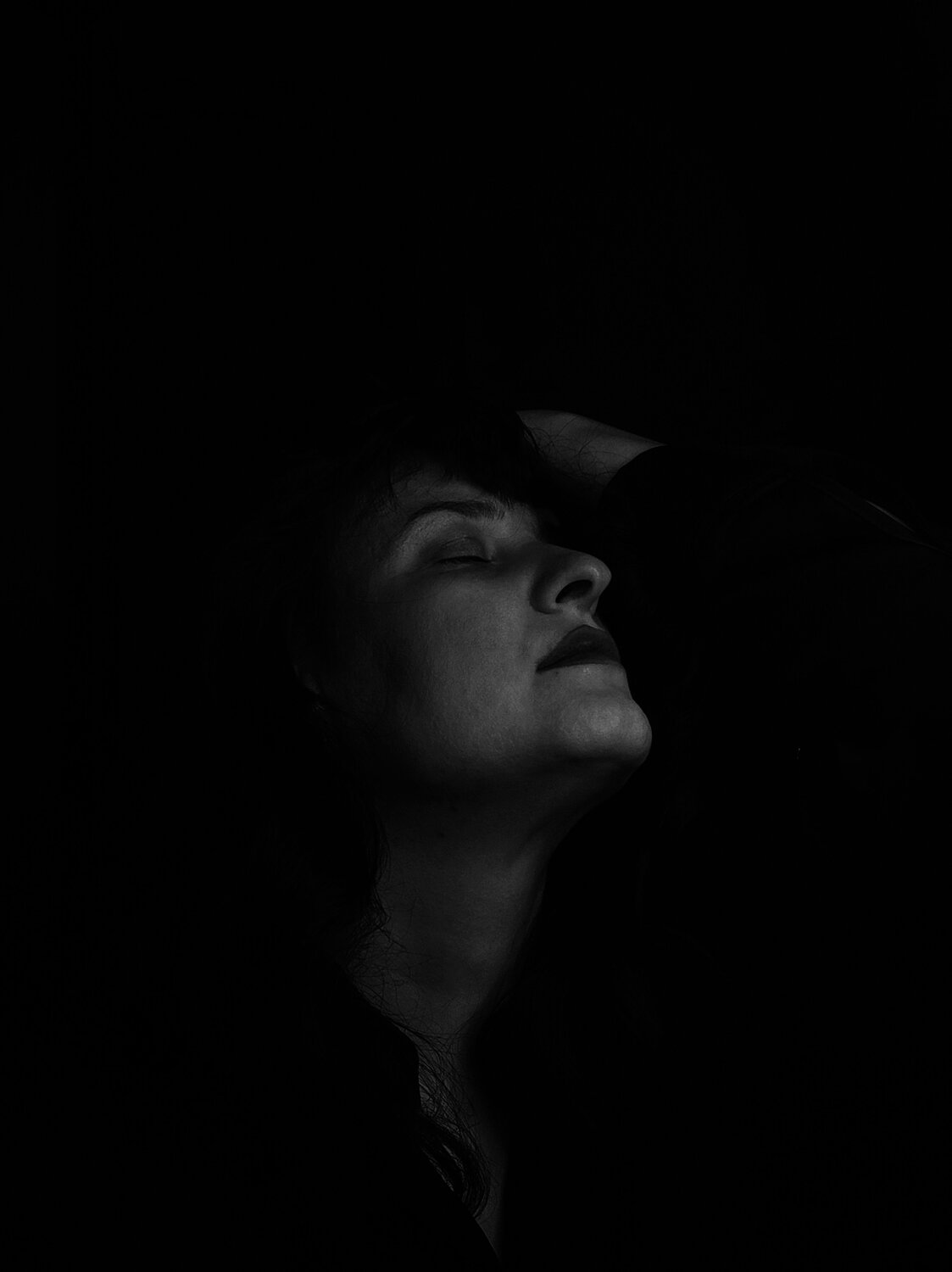 Photo #8778818