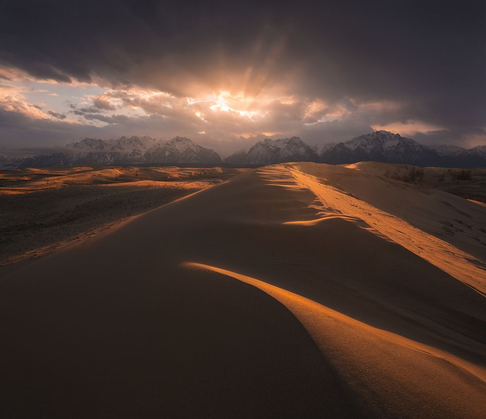 Дюны чарской пустыни