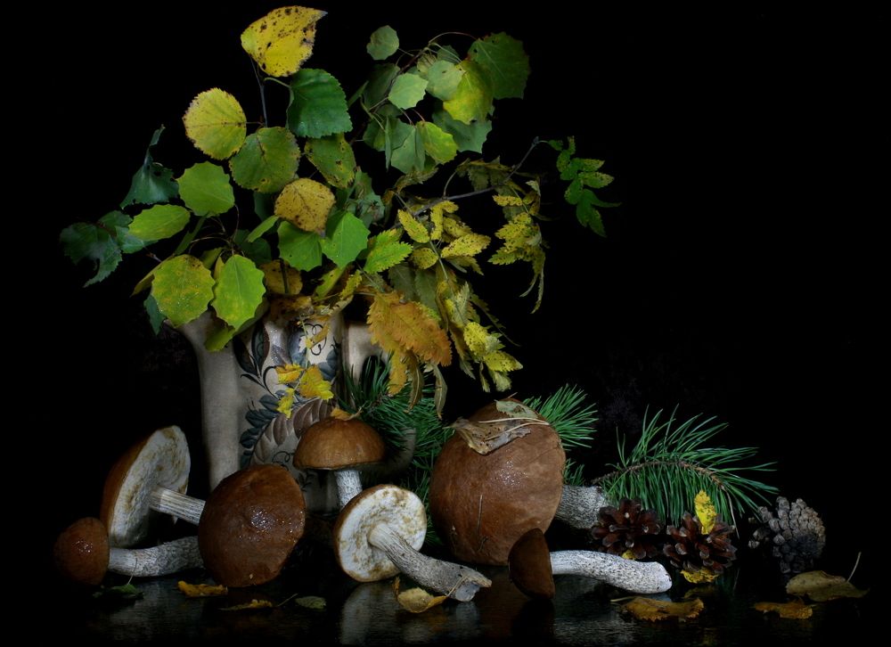 Фотография автора Nelya  Lysenko