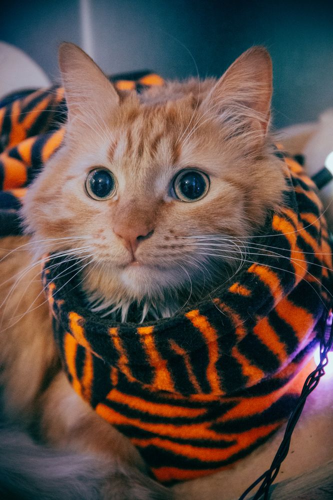 Photograph by Ольга