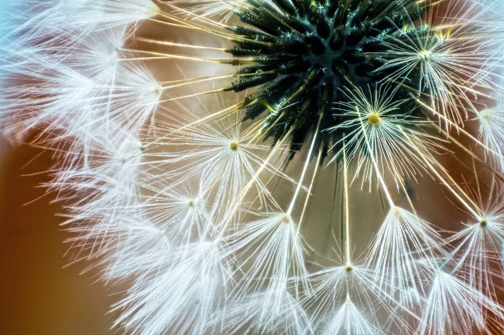 Photograph by Vadim Heinz