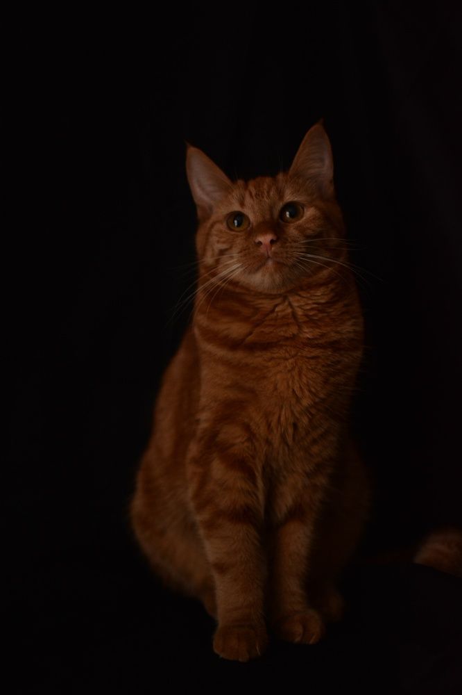 Photograph by Елена Акимова