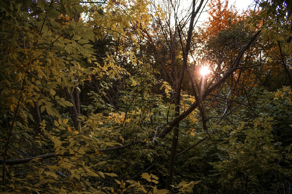 Photograph by Александр Вьюшков