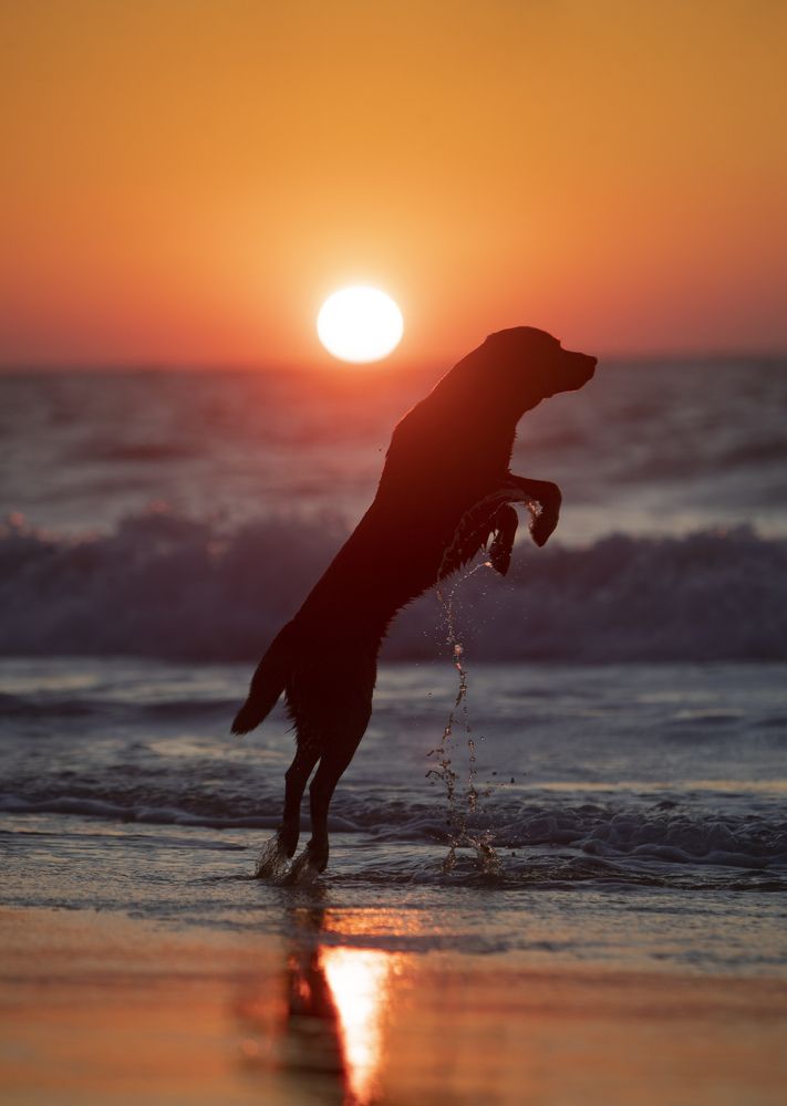 Photograph by Alexandre Marques