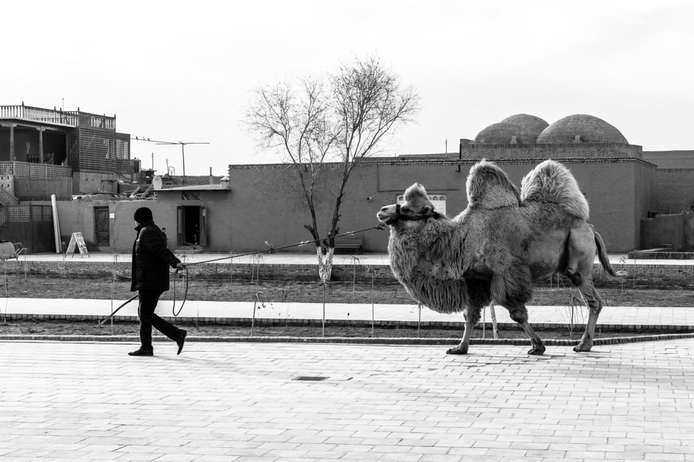 Photograph by Евгений Моляшов